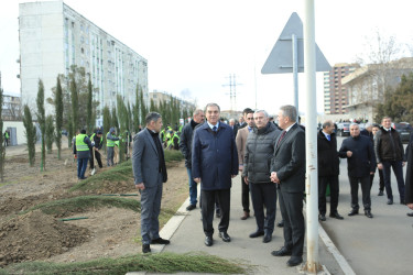 Gəncədə “Yaşıl Dünya Naminə Həmrəylik İli” ilə əlaqədar olaraq ilin son ağacəkmə aksiyası təşkil olunub