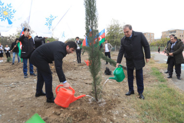 Gəncədə “Heydər Əliyev İli“ çərçivəsində növbəti ağacəkmə aksiyası keçirilib