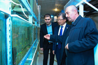 Koreya Respublikasının ölkəmizdəki səfiri ADAU-da olub