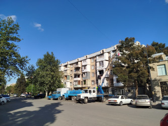 Gəncədə təmizlik, təmir və yaşıllaşdırma işləri davam edir