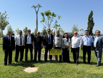 Niyazi Bayramov Səmərqənd şəhərində “Qardaş şəhərlər” I Beynəlxalq Forumu çərçivəsində keçirilən ağacəkmə aksiyasında iştirak edib