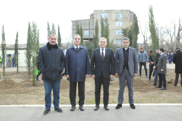 Gəncədə “Yaşıl Dünya Naminə Həmrəylik İli” ilə əlaqədar olaraq ilin son ağacəkmə aksiyası təşkil olunub