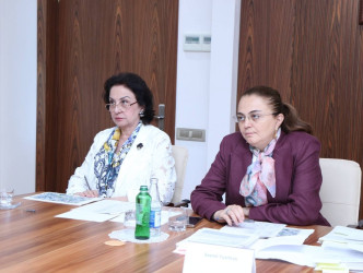 Mədəniyyət Nazirliyi yanında Daşınmaz mədəni sərvətlərin müəyyən edilməsi üzrə Ekspert Şurasının növbəti iclası keçirilib