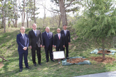 Gəncənin nümayəndə heyəti tərəfindən Çindao şəhərinin beynəlxalq dostluq xiyabanında ağac əkilib