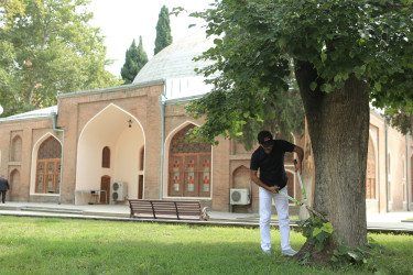 Gəncədə “Yaşıl gələcək naminə” adlı aksiya keçirilib