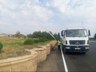 Gəncədə yaşıllıqları anomal istilərdən qorumaq üçün müvafiq tədbirlər həyata keçirilir