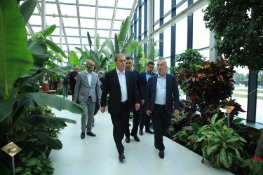 Niyazi Bayramov şəhərin bir sıra park və istirahət məkanlarına baxış keçirib