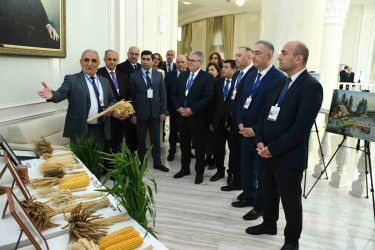 Gəncədə “I Yaşıl İqtisadiyyat” Beynəlxalq Forumu keçirilib