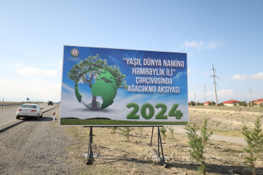 Gəncədə “Yaşıl dünya naminə həmrəylik ili” çərçivəsində genişmiqyaslı ağacəkmə aksiyası keçirilir