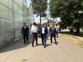 Niyazi Bayramov III MDB Oyunları ərəfəsində aparılan abadlıq işlərinə növbəti dəfə baxış keçirib