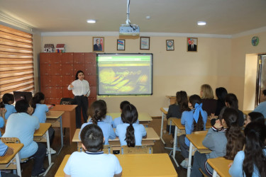 Gəncədə şagirdlər üçün şəhərsalma mövzusunda görüş keçirilib