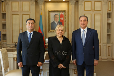 Niyazi Bayramov Aygün Səmədzadə ilə görüşüb