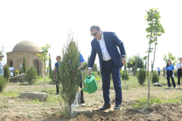 Dünya əhəmiyyətli “Qədim Gəncə” ərazisində yaşıllıq və abadlıq aksiyası keçirilib