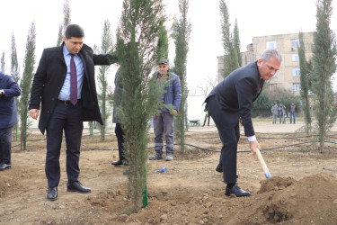 Gəncədə “Yaşıl Dünya Naminə Həmrəylik İli” ilə əlaqədar olaraq ilin son ağacəkmə aksiyası təşkil olunub