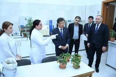 Koreya Respublikasının ölkəmizdəki səfiri ADAU-da olub