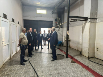 Gəncədə Qurban Bayramı günlərində heyvanların satış və kəsim məntəqələrinə monitorinq təşkil olunub