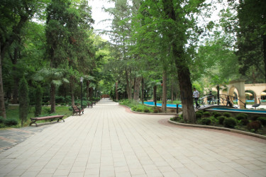 Niyazi Bayramov şəhərin bir sıra park və istirahət məkanlarına baxış keçirib