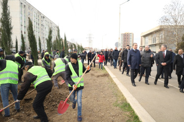 Gəncədə “Yaşıl Dünya Naminə Həmrəylik İli” ilə əlaqədar olaraq ilin son ağacəkmə aksiyası təşkil olunub