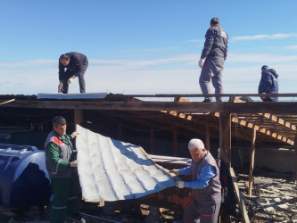 Gəncədə güclü küləyin vurduğu ziyanın aradan qaldırılması istiqamətində aparılan təmir-bərpa işləri davam edir