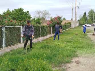 Gəncədə təmizlik, təmir və yaşıllaşdırma işləri davam edir