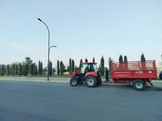 "Yaşıl dünya naminə həmrəylik ili" çərçivəsində Gəncədə növbəti ağacəkmə və iməcilik aksiyaları baş tutub