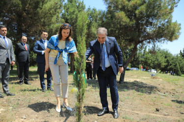 Gəncədə Azərbaycan - Aİ əməkdaşlığının 30 illiyinə həsr olunmuş ağacəkmə aksiyası keçirilib
