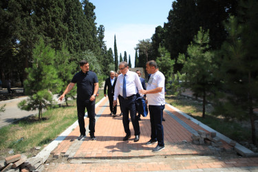 Niyazi Bayramov şəhərdə aparılan abadlıq işlərinə mütəmadi baxış keçirir