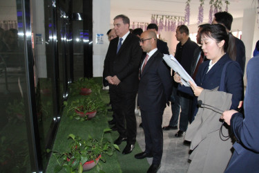 Niyazi Bayramov Çindaoda bərk məişət tullantılarının emalı müəssisəsi ilə tanış olub