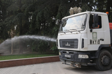 Gəncədə yaşıllıqları anomal istilərdən qorumaq üçün müvafiq tədbirlər həyata keçirilir