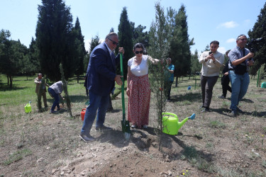 Gəncədə Azərbaycan - Aİ əməkdaşlığının 30 illiyinə həsr olunmuş ağacəkmə aksiyası keçirilib