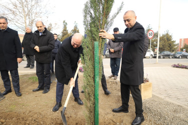 Gəncədə “Yaşıl Dünya Naminə Həmrəylik İli” ilə əlaqədar olaraq ilin son ağacəkmə aksiyası təşkil olunub