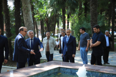 Niyazi Bayramov şəhərdə aparılan abadlıq işlərinə mütəmadi baxış keçirir