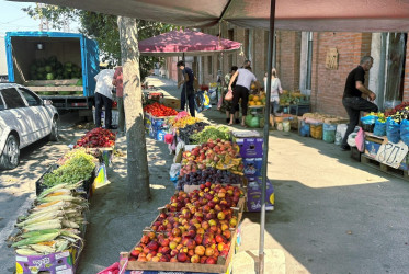 “İşçi qrupları” tərəfindən pərakəndə ticarət hallarının geniş yayıldığı ərazilərdə reydlər davam etdirilir