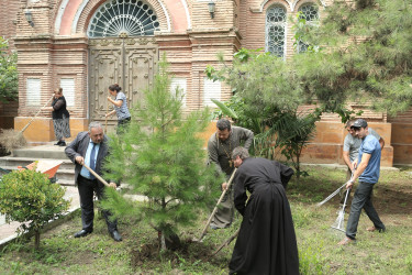 Gəncədə “Yaşıl gələcək naminə” adlı aksiya keçirilib