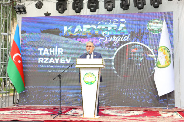 ADAU-da 17-ci Karyera Sərgisi keçirilib