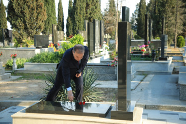 Niyazi Bayramov Şəhidlər xiyabanında aparılan təmir işləri ilə yerində tanış olub