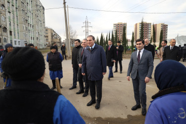 Gəncədə “Yaşıl Dünya Naminə Həmrəylik İli” ilə əlaqədar olaraq ilin son ağacəkmə aksiyası təşkil olunub