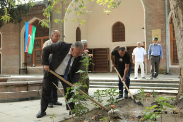 Gəncədə “Yaşıl gələcək naminə” adlı aksiya keçirilib