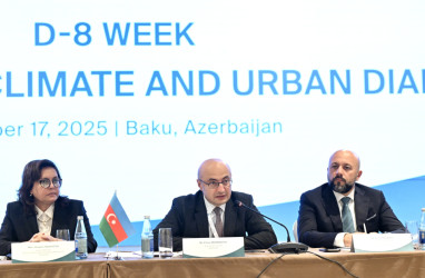 Niyazi Bayramov Bakıda ilk dəfə keçirilən “D-8 Yüksəksəviyyəli İqlim və Şəhərsalma Dialoqu”nda iştirak edib