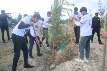 Gəncədə “Yaşıl dünya naminə həmrəylik ili” çərçivəsində genişmiqyaslı ağacəkmə aksiyası keçirilir