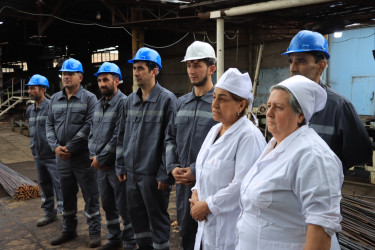 Məşğulluğa kömək göstərən əlaqələndirmə komitəsi daha bir görüş keçirib