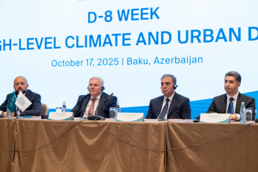Niyazi Bayramov Bakıda ilk dəfə keçirilən “D-8 Yüksəksəviyyəli İqlim və Şəhərsalma Dialoqu”nda iştirak edib