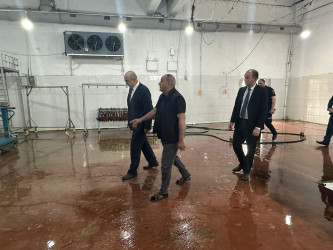 Gəncədə Qurban Bayramı günlərində heyvanların satış və kəsim məntəqələrinə monitorinq təşkil olunub