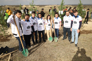 Gəncədə “Yaşıl dünya naminə həmrəylik ili” çərçivəsində genişmiqyaslı ağacəkmə aksiyası keçirilir