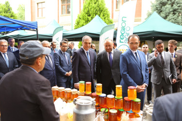 ADAU-da 17-ci Karyera Sərgisi keçirilib