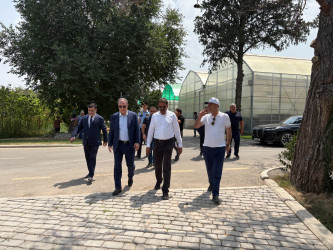 Niyazi Bayramov III MDB Oyunları ərəfəsində aparılan abadlıq işlərinə növbəti dəfə baxış keçirib