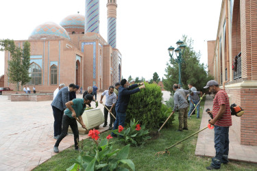 Gəncədə “Yaşıl gələcək naminə” adlı aksiya keçirilib