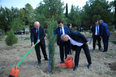 Gəncədə 27 Sentyabr – Anım Günü ilə bağlı ağacəkmə aksiyası keçirilib