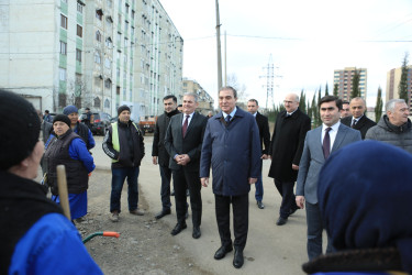 Gəncədə “Yaşıl Dünya Naminə Həmrəylik İli” ilə əlaqədar olaraq ilin son ağacəkmə aksiyası təşkil olunub