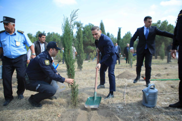 Gəncədə 27 Sentyabr – Anım Günü ilə bağlı ağacəkmə aksiyası keçirilib